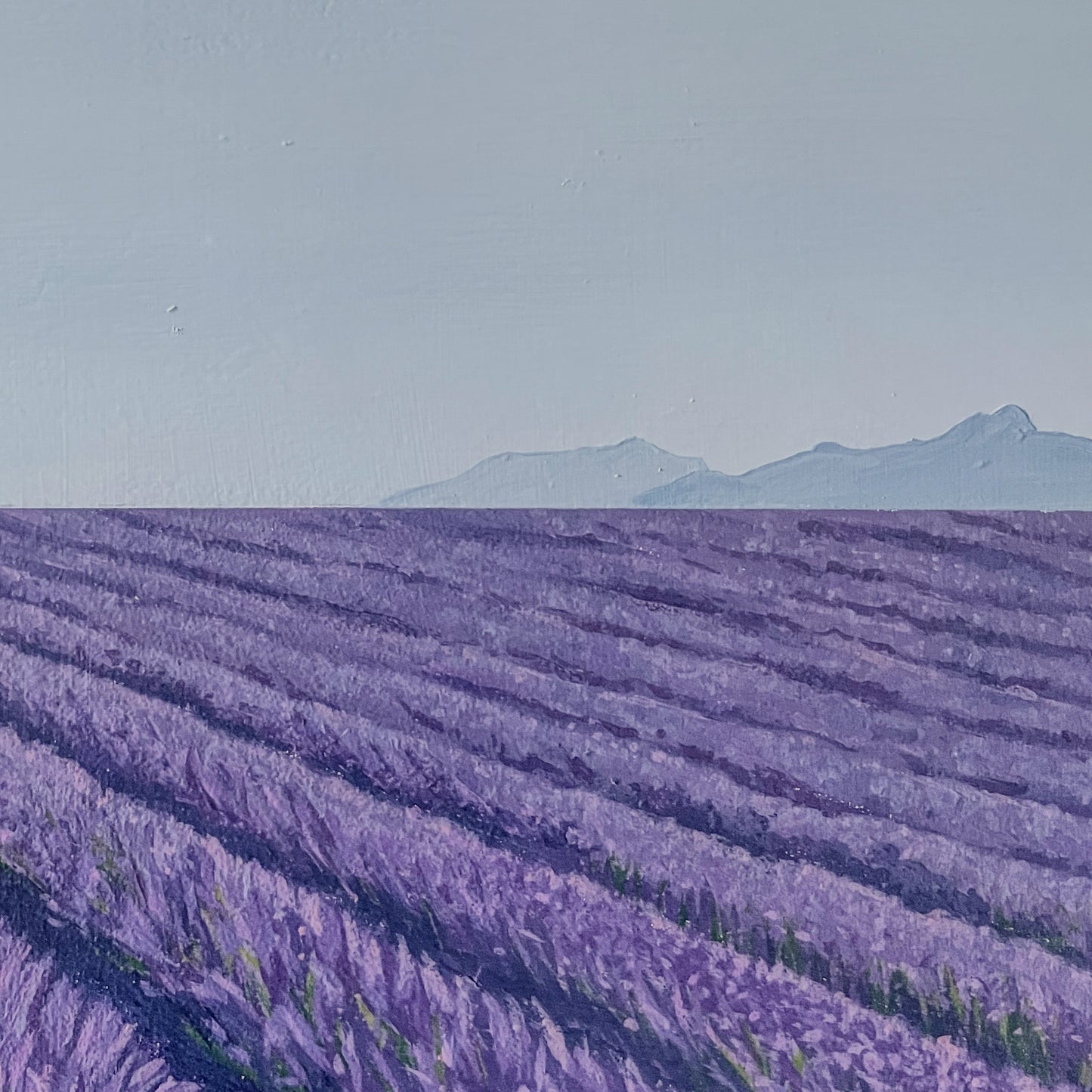 SOLD: Lavender Field